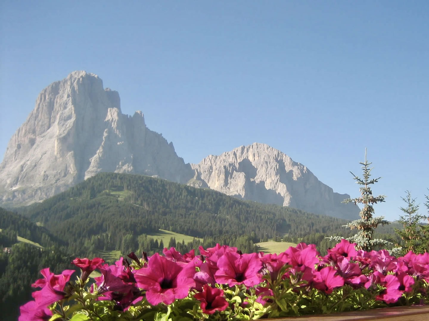 Trilocale Superior Panorama – 9